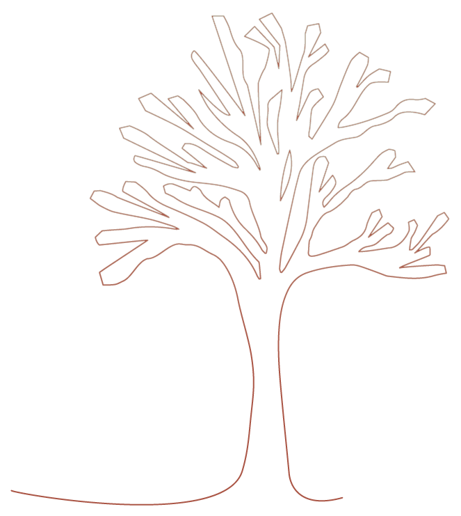 DomaineWitry-Gite-Voneche-Arbre